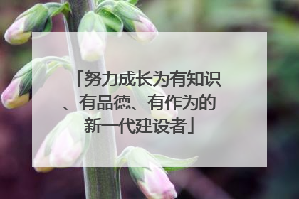 努力成长为有知识、有品德、有作为的新一代建设者