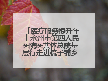 医疗服务提升年丨永州市第四人民医院医共体总院基层行走进梳子铺乡金花村