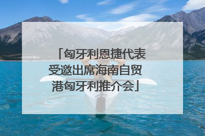 匈牙利恩捷代表受邀出席海南自贸港匈牙利推介会