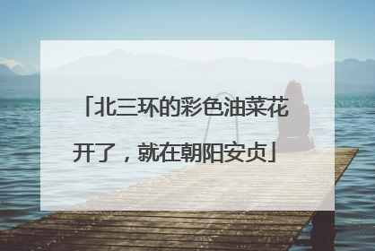 北三环的彩色油菜花开了，就在朝阳安贞