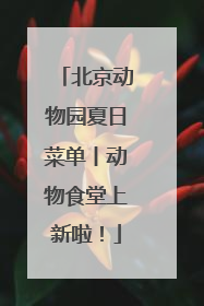 北京动物园夏日菜单丨动物食堂上新啦！