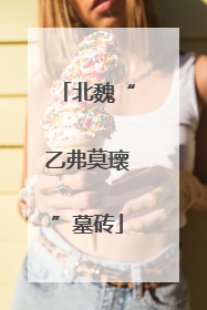 北魏“乙弗莫瓌”墓砖