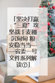 坚决打赢“三夏”攻坚战丨麦穗沉甸甸 粮安稳当当——省委一号文件系列解读①
