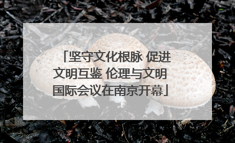 坚守文化根脉 促进文明互鉴 伦理与文明国际会议在南京开幕