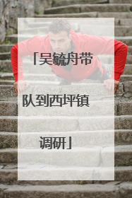 吴毓舟带队到西坪镇调研