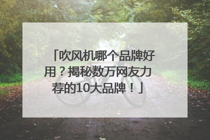 吹风机哪个品牌好用？揭秘数万网友力荐的10大品牌！
