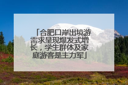 合肥口岸出境游需求呈现爆发式增长，学生群体及家庭游客是主力军