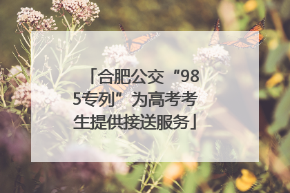 合肥公交“985专列”为高考考生提供接送服务