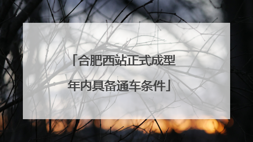 合肥西站正式成型 年内具备通车条件