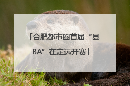 合肥都市圈首届“县BA”在定远开赛