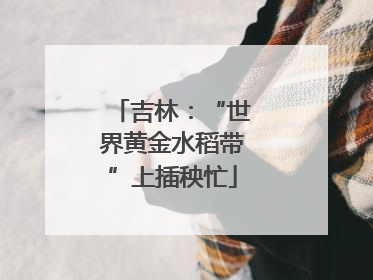 吉林：“世界黄金水稻带”上插秧忙