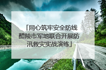 同心筑牢安全防线 醴陵市军地联合开展防汛救灾实战演练