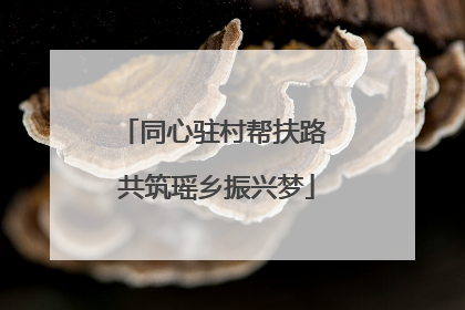 同心驻村帮扶路 共筑瑶乡振兴梦