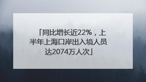 同比增长近22%，上半年上海口岸出入境人员达2074万人次