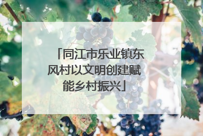 同江市乐业镇东风村以文明创建赋能乡村振兴