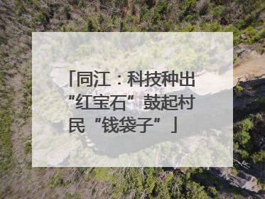同江：科技种出“红宝石”鼓起村民“钱袋子”