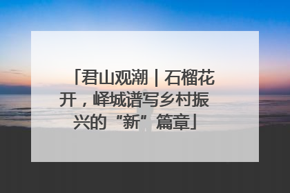 君山观潮｜石榴花开，峄城谱写乡村振兴的“新”篇章