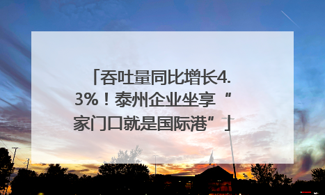 吞吐量同比增长4.3%！泰州企业坐享“家门口就是国际港”