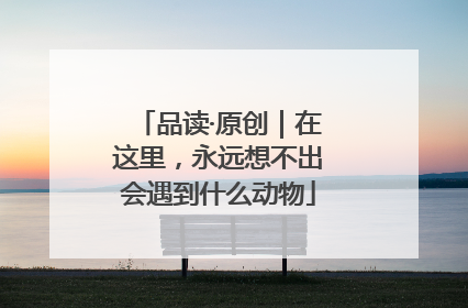 品读·原创｜在这里，永远想不出会遇到什么动物