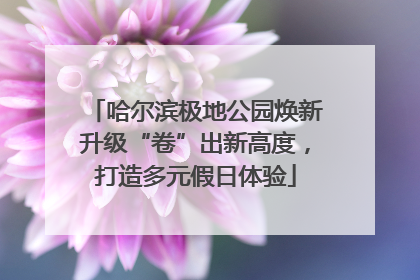 哈尔滨极地公园焕新升级“卷”出新高度，打造多元假日体验