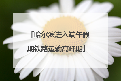 哈尔滨进入端午假期铁路运输高峰期