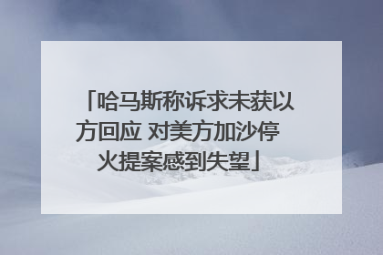 哈马斯称诉求未获以方回应 对美方加沙停火提案感到失望