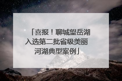 喜报！聊城望岳湖入选第二批省级美丽河湖典型案例