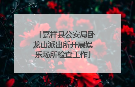 嘉祥县公安局卧龙山派出所开展娱乐场所检查工作