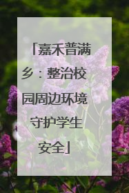 嘉禾普满乡：整治校园周边环境 守护学生安全