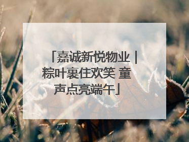 嘉诚新悦物业｜粽叶裹住欢笑 童声点亮端午
