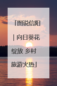 图说信阳｜向日葵花绽放 乡村旅游火热