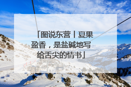 图说东营丨夏果盈香，是盐碱地写给舌尖的情书
