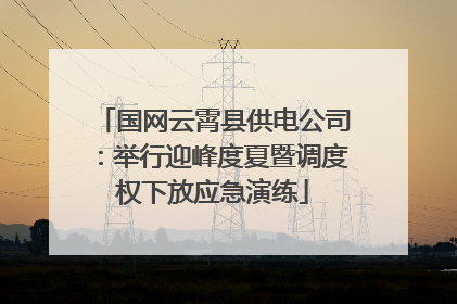 国网云霄县供电公司：举行迎峰度夏暨调度权下放应急演练