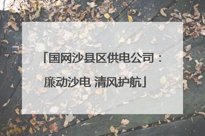 国网沙县区供电公司：廉动沙电 清风护航