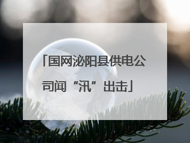 国网泌阳县供电公司闻“汛”出击