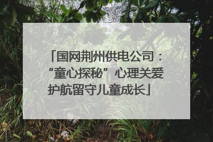 国网荆州供电公司：“童心探秘”心理关爱护航留守儿童成长