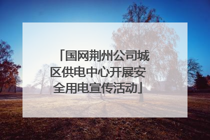 国网荆州公司城区供电中心开展安全用电宣传活动