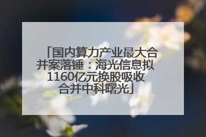 国内算力产业最大合并案落锤：海光信息拟1160亿元换股吸收合并中科曙光