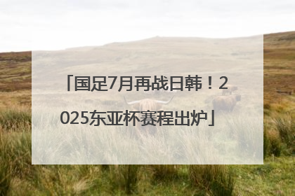 国足7月再战日韩！2025东亚杯赛程出炉