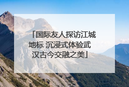 国际友人探访江城地标 沉浸式体验武汉古今交融之美