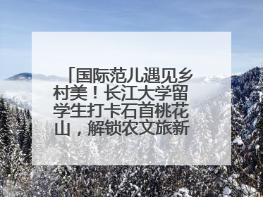 国际范儿遇见乡村美！长江大学留学生打卡石首桃花山，解锁农文旅新玩法！