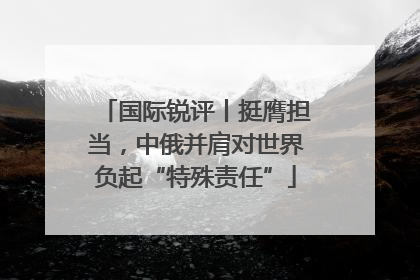 国际锐评丨挺膺担当，中俄并肩对世界负起“特殊责任”