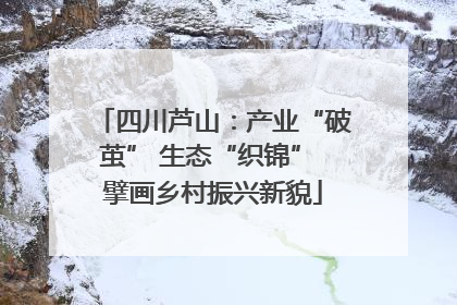 四川芦山：产业“破茧” 生态“织锦” 擘画乡村振兴新貌