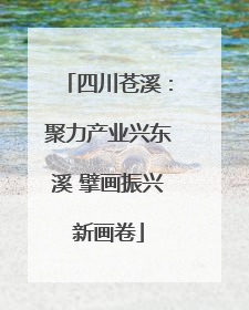 四川苍溪：聚力产业兴东溪 擘画振兴新画卷