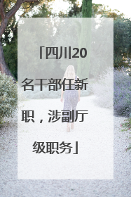 四川20名干部任新职，涉副厅级职务