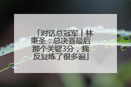 对话总冠军丨林秉圣：总决赛最后那个关键3分，我反复练了很多遍