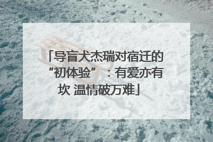 导盲犬杰瑞对宿迁的“初体验”：有爱亦有坎 温情破万难