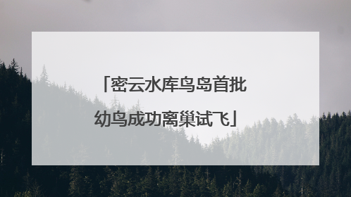 密云水库鸟岛首批幼鸟成功离巢试飞