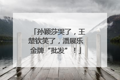 孙颖莎哭了，王楚钦笑了，潘展乐金牌“批发”！