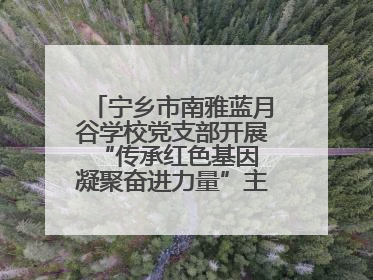 宁乡市南雅蓝月谷学校党支部开展“传承红色基因 凝聚奋进力量”主题党日活动